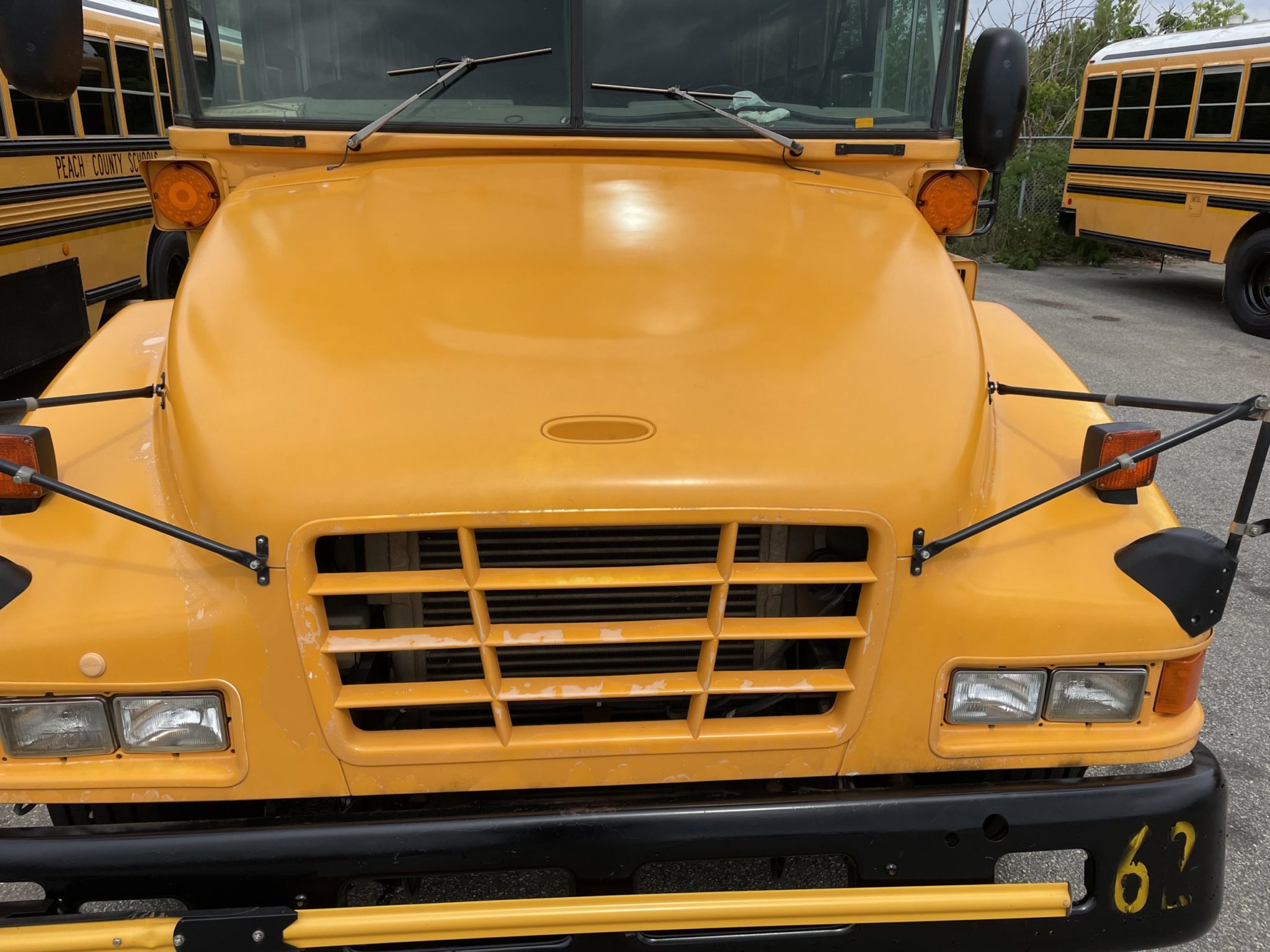 hood of treated school bus